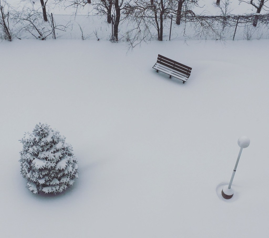 A Floridian experiences her first&nbsp;blizzard